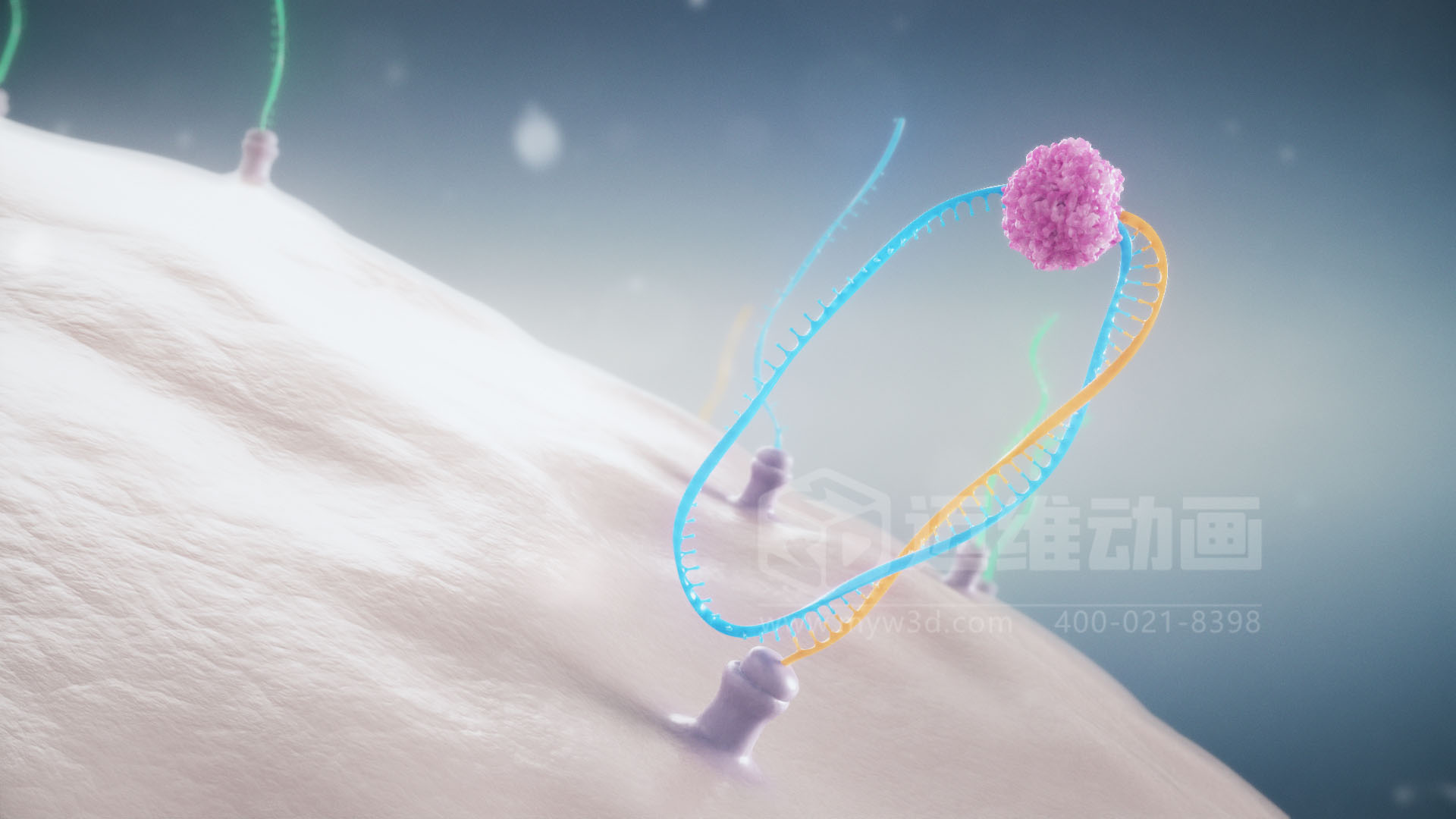 醫(yī)療分子生物學(xué)三維動(dòng)畫(huà)(圖3) 醫(yī)療分子生物學(xué)三維動(dòng)畫(huà)(圖3)