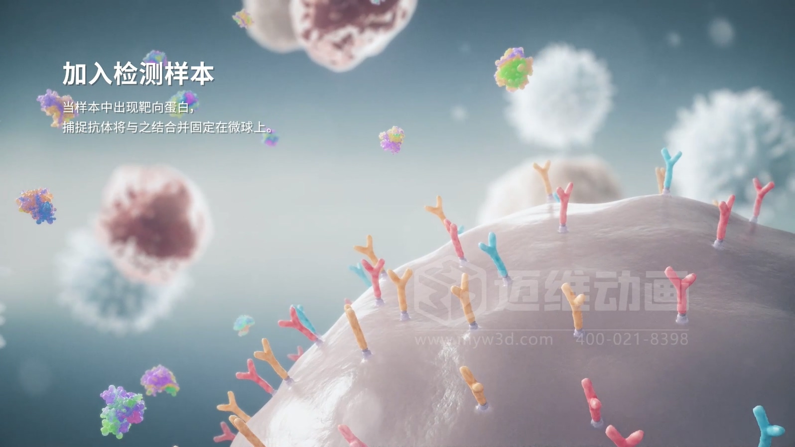 微觀世界竟能“動(dòng)”起來(lái)？生物科技三維動(dòng)畫帶你沉浸式探索生命奧秘(圖2)